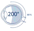 網膜全体80％の範囲まで非接触・無散瞳で撮影が可能